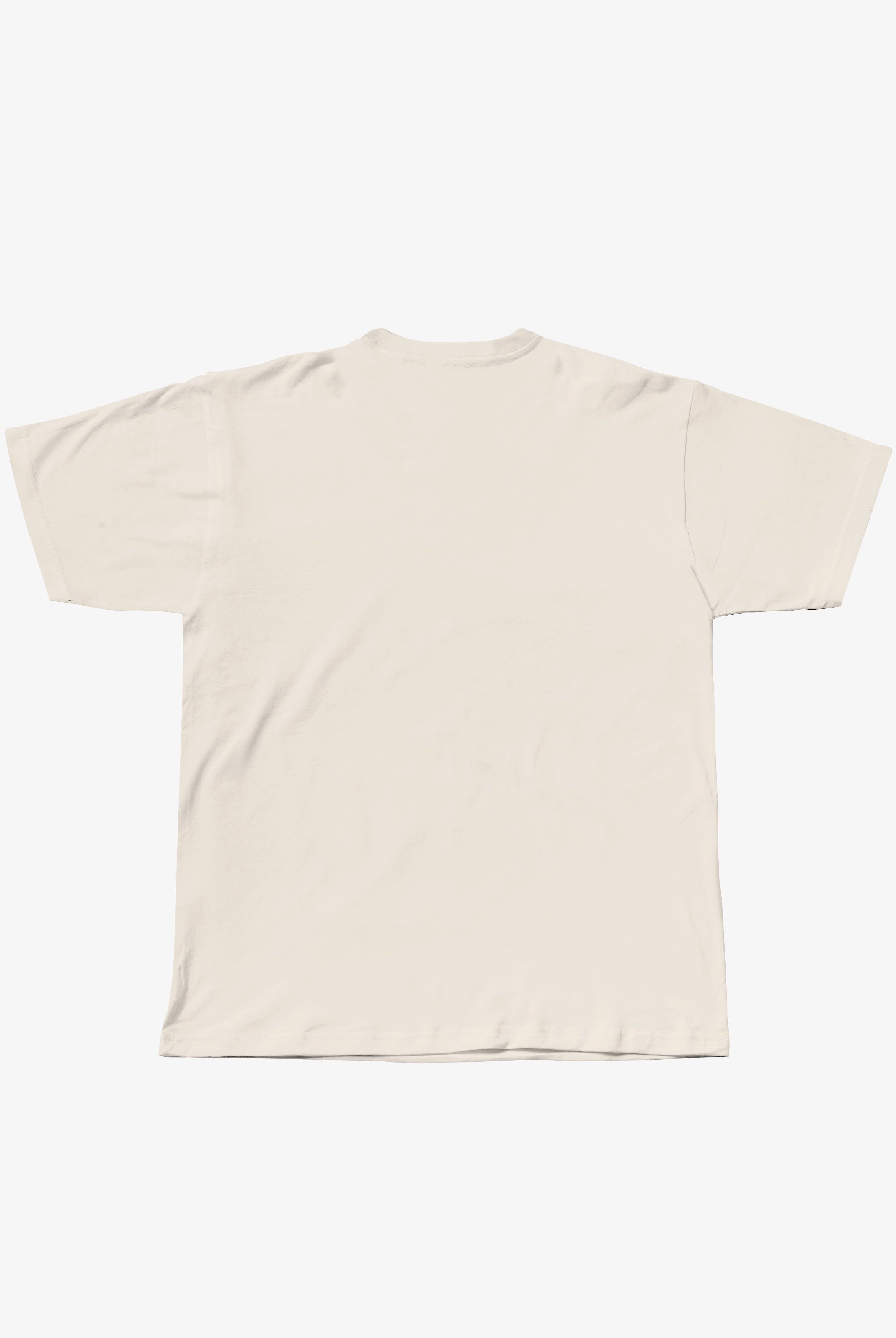 SD Essential Tee Bone - back