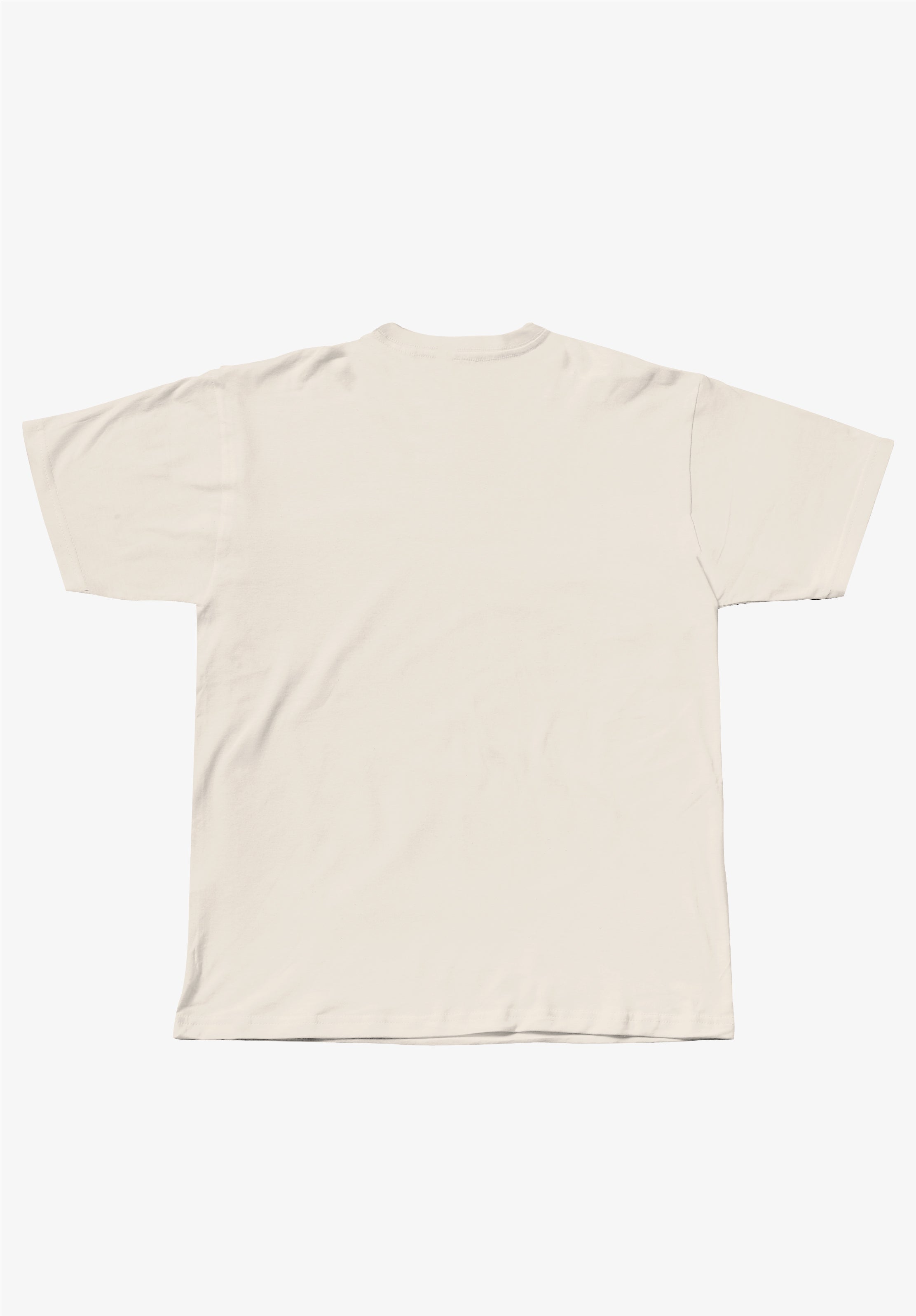 SD Essential Tee Bone - back
